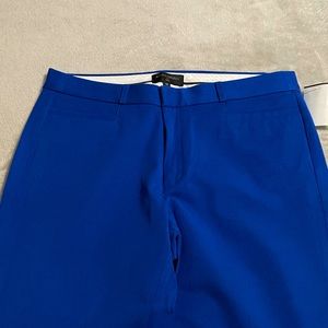 New gorgeous blue pants